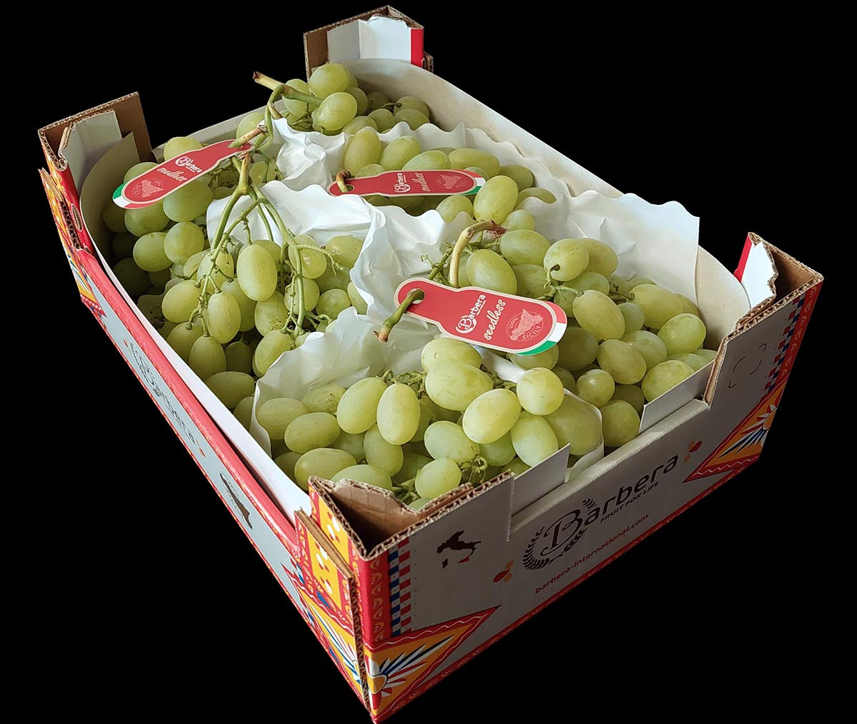 Uva Barbera seedless ARRA 30 nella confezione da 5 kg